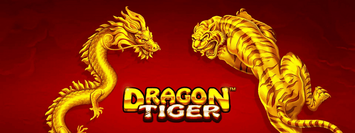 Dragon vs Tiger Techniques